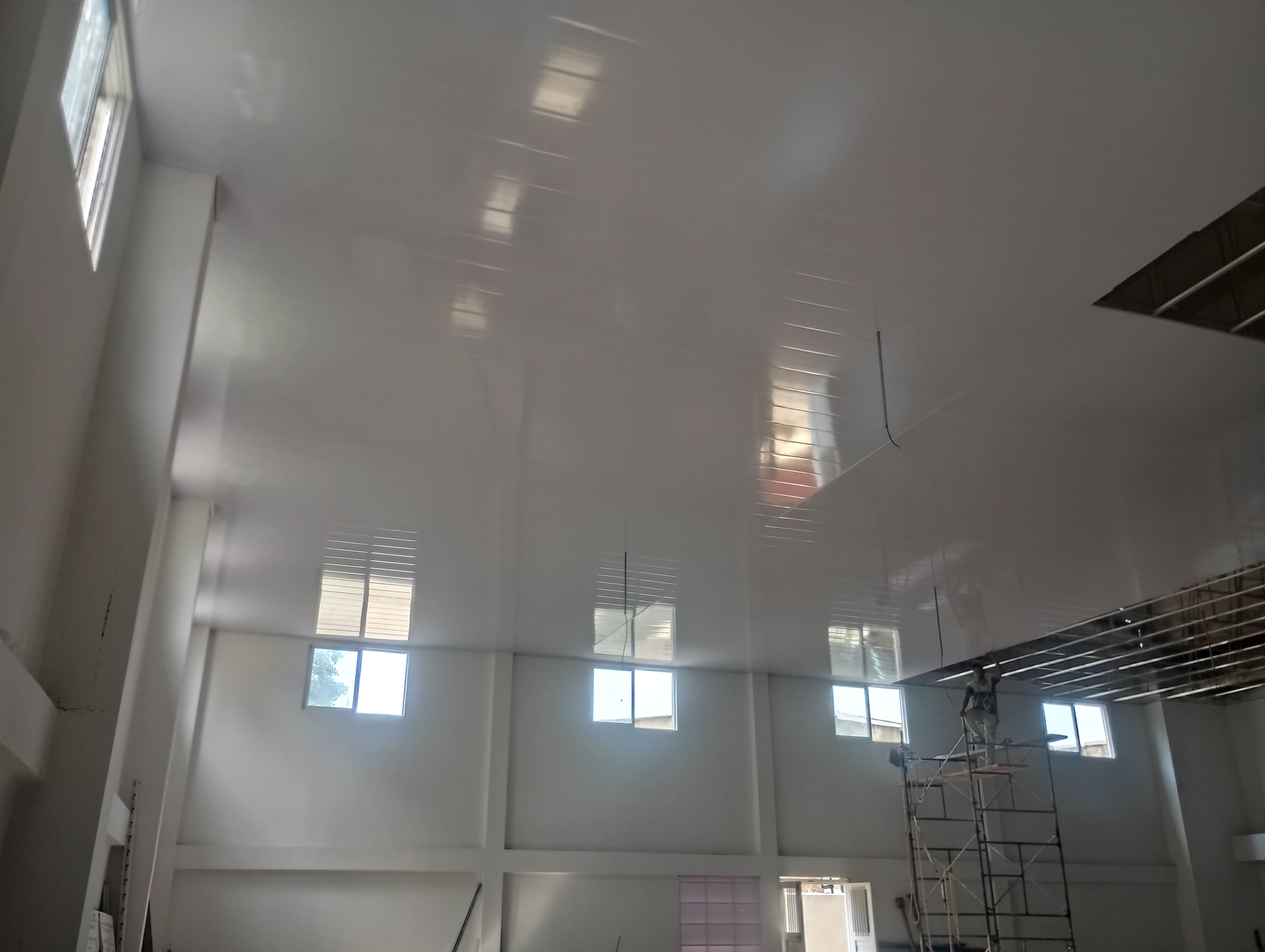 Proyecto de estructura